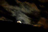 Moonrise over Tweed Valley Forest Park_2301-5D111-Enhanced-NR