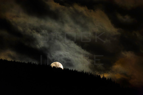 Moonrise over Tweed Valley Forest Park_2301-5D111-Enhanced-NR