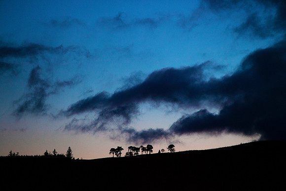 Dusk at Pines on the Hill_7998-5D-local
