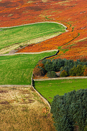 A Rustic Land_0842