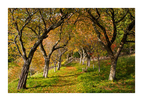 Path to Neidpath_3697_A3_print
