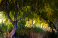 Impressions of Autumn_6846-7D