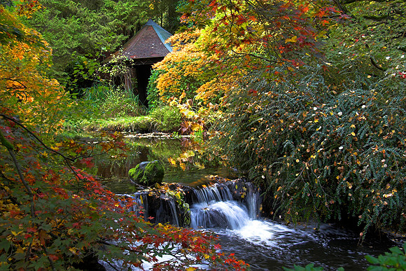 The Secret Garden