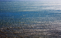 Soaring in the Endless Sea_4838_fife-coast_5D