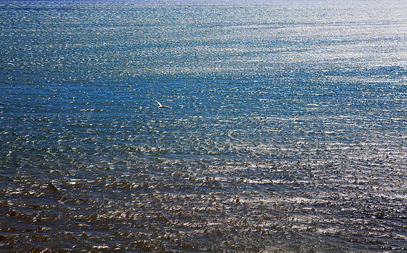 Soaring in the Endless Sea_4838_fife-coast_5D