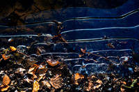 Ice Pool_1136-5D111