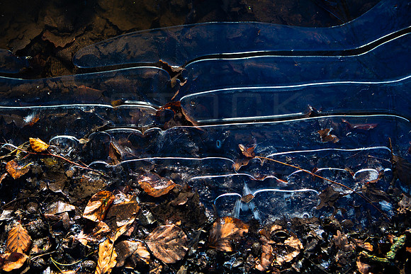 Ice Pool_1136-5D111