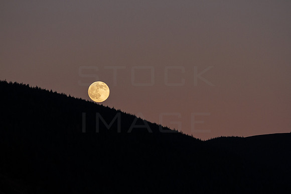 Full Moon Rising over Prin Craig_7966-7d-local