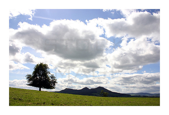 One Tree Hill_A3_print