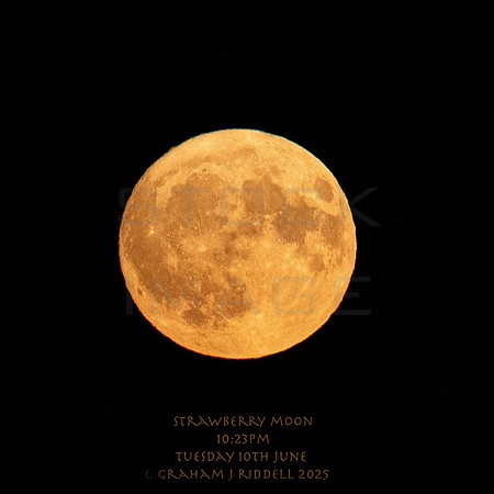 Strawberry Moon_2696-90D copy