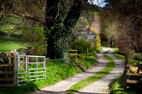 Farm Track through Gate_9817