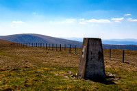 Broad Law from Dollar Law Summit_2464-5D111