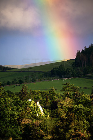 Traquairbow_2665-5DMk111